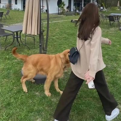 大宋少年志